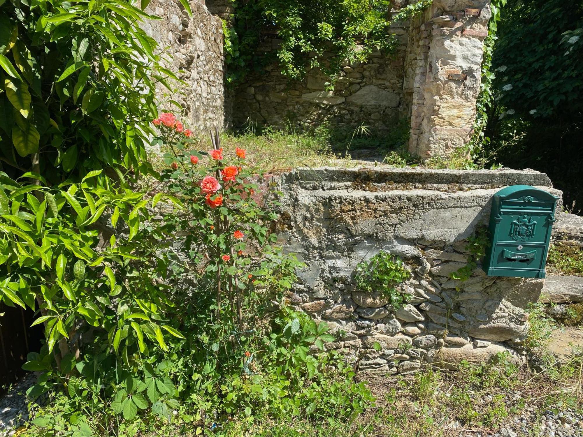 Dolce Vita In Tuscany Cottage Capannori Exterior photo